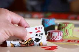 newbet